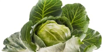 O vegetal simples que virou tendência e dominou as buscas