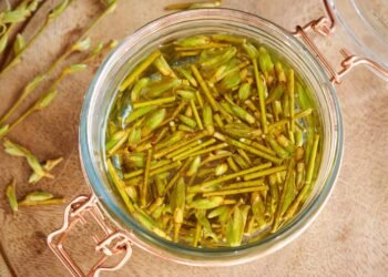 A solução natural que pode aliviar aquela dor intensa na lombar sem recorrer a remédios fortes