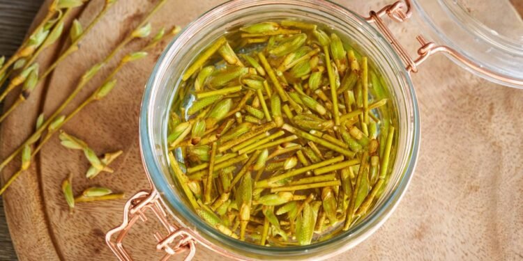 O salgueiro-branco é uma árvore típica de regiões frias e úmidas da Europa e da Ásia. Na fitoterapia - Créditos: depositphotos.com / MadeleineSteinbach