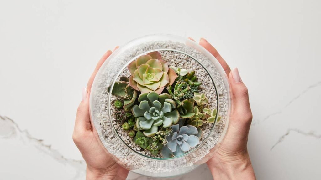 Como montar um cantinho verde em casa gastando pouco