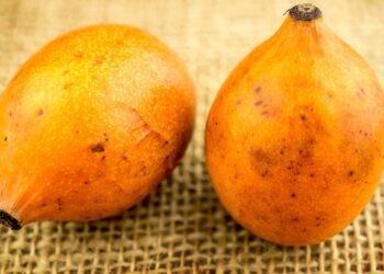 A fruta leve e refrescante que pode melhorar digestão e repor líquidos em dias quentes