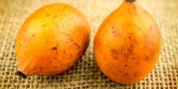 A fruta leve e refrescante que pode melhorar digestão e repor líquidos em dias quentes