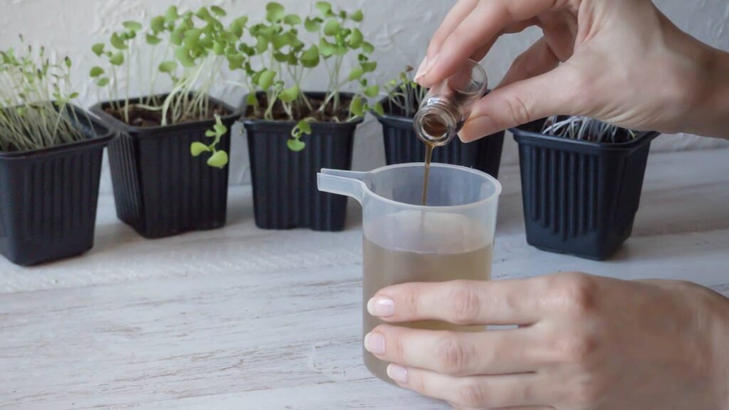 Fertilizantes caseiros podem estar matando suas plantas