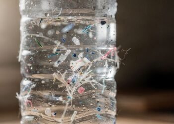 Estudo revela 240 mil fragmentos de plástico por litro em garrafa de água e o que isso pode causar no seu corpo assusta