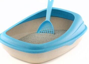 Um material comum pode substituir a areia do seu gato