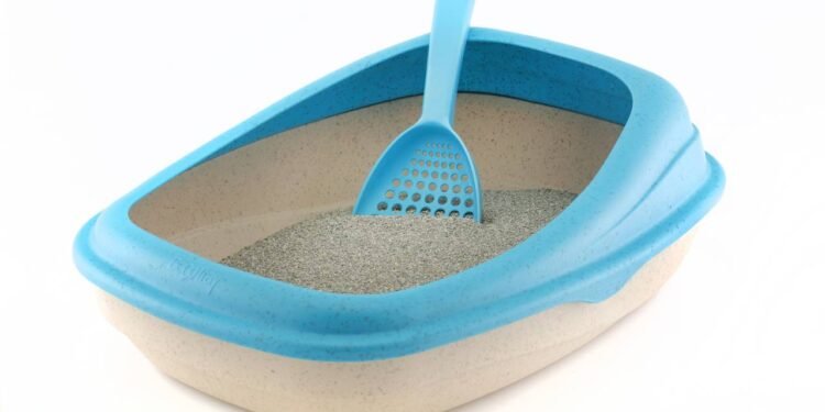 Um material comum pode substituir a areia do seu gato