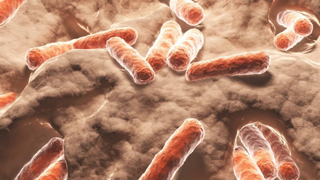 As curiosidades mais bizarras que você ficará chocado quando descobrir