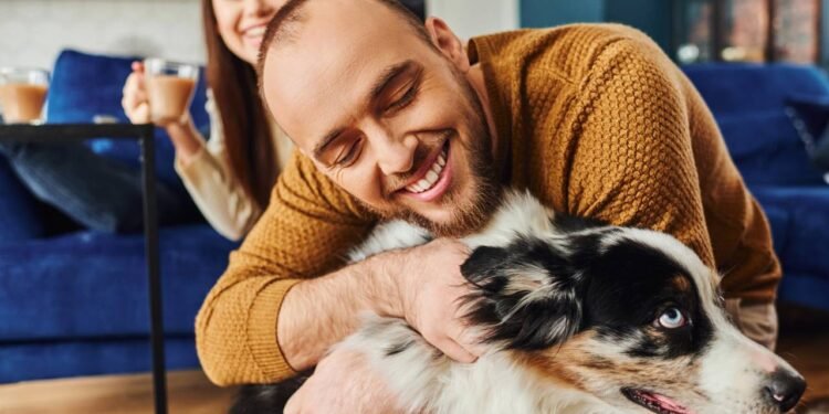 Sinais que seu cachorro precisa de mais atenção do que você imagina