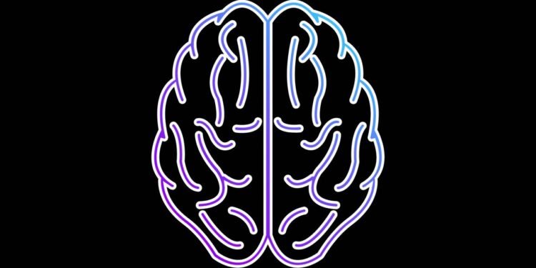 cérebro  - Créditos: depositphotos.com / Infolight