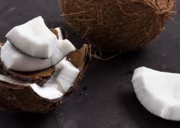Nem só para dar água existe o coco, conheça os outros benefícios dessa fruta