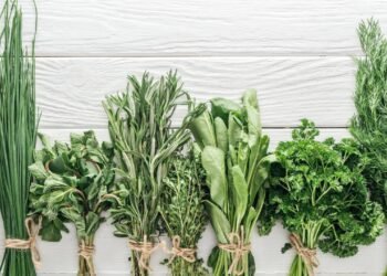 A planta digestiva mais poderosa usada há gerações