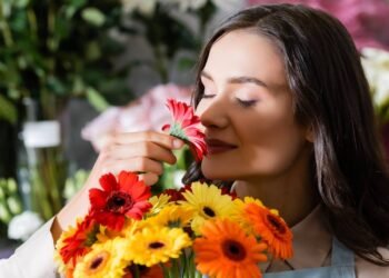 Troque o aromatizador caro: conheça as cinco plantas perfumadas fáceis de plantar em casa
