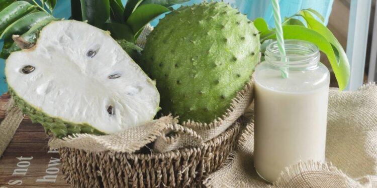 Os benefícios da graviola são muito comentados porque a polpa é rica em vitamina C - Créditos: depositphotos.com / hito211003@gmail.com