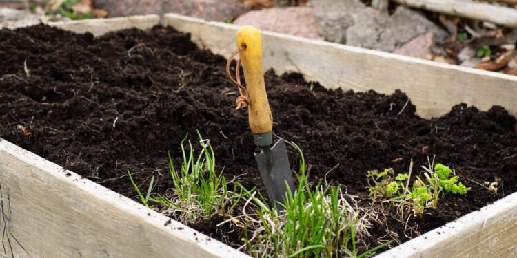 O primeiro passo é observar onde bate mais luz na sua casa - Créditos: depositphotos.com / SusieHedberg