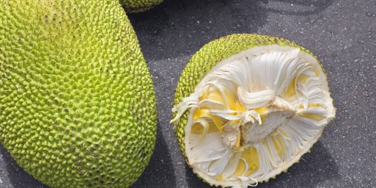 Entre os benefícios da jaca, as fibras são uma das grandes estrelas. Elas ajudam o intestino a funcionar melhor - Créditos: depositphotos.com / jpldesigns