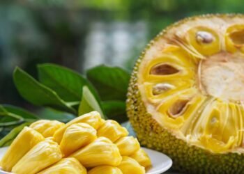 Carne de jaca? O truque barato para substituir a proteína animal