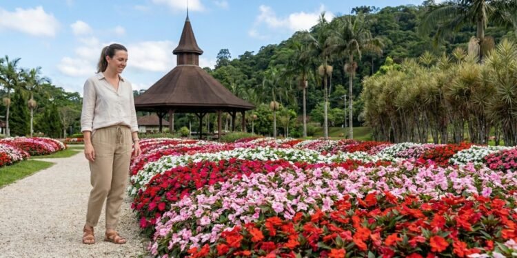 Joinville brilha como a Capital Nacional da Dança e o maior motor industrial catarinense (imagem ilustrativa)