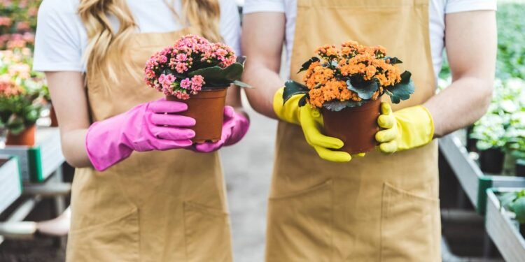 Plantar kalanchoe em casa é simples, ideal para quem está começando no mundo das plantas - Créditos: depositphotos.com / SashaKhalabuzar