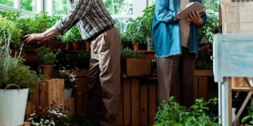 Spa em casa: como montar um jardim que reduz o estresse diário