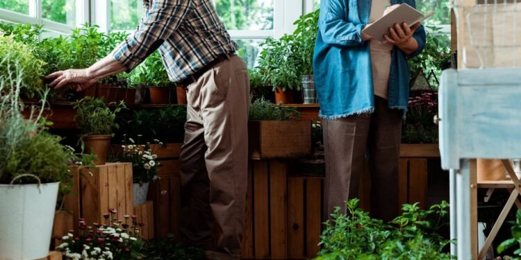 Montar um jardim relaxante em ambientes internos exige um pouco de atenção, mas não precisa ser caro nem complicado - Créditos: depositphotos.com / HayDmitriy