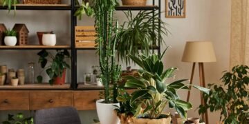 Como ter árvores frutíferas em vasos mesmo morando em apartamentos pequenos