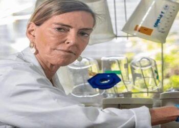 Polilaminina: a molécula descoberta por brasileiros que acende a esperança para reverter paralisia e lesões na medula