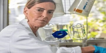 Polilaminina: a molécula descoberta por brasileiros que acende a esperança para reverter paralisia e lesões na medula