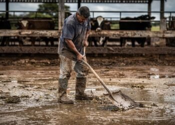 Fazendeiro é condenado a pagar adicional de 20% e caso abre precedente que pode elevar custos trabalhistas no agronegócio