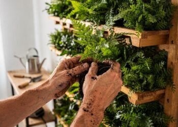 Faça você mesmo: um jardim vertical em apenas 4 passos para trazer um pouco de vida verde para seu lar