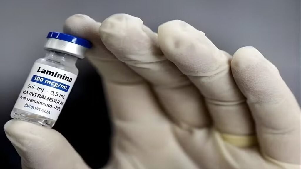 Polilaminina: a molécula descoberta por brasileiros que acende a esperança para reverter paralisia e lesões na medula