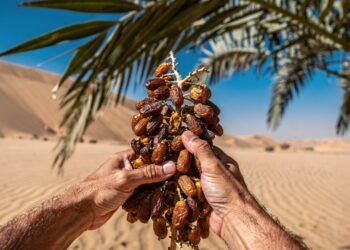 Essa planta dominou desertos e agora está aparecendo nas varandas de muitos brasileiros