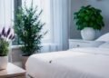 Coloque esta planta perto da cama e percevejos não passam: truque simples cria barreira natural no quarto