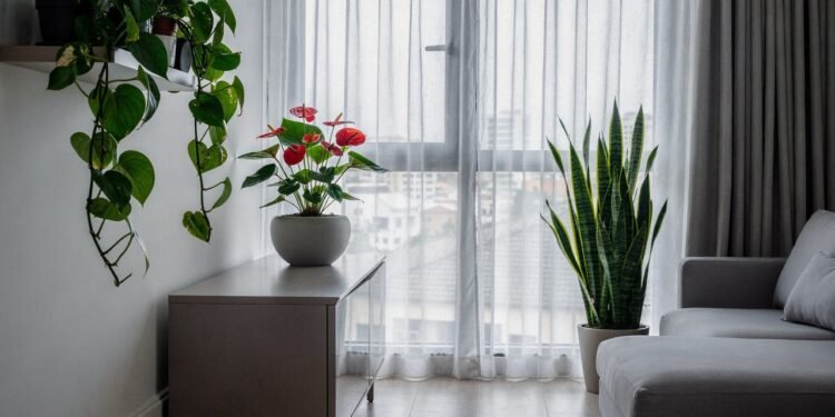 Como alguns moradores criam amplitude em espaços minúsculos usando apenas plantas