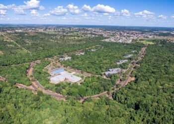 A capital mais arborizada do Brasil tem 91% das ruas com árvores e o maior aquário de água doce do mundo