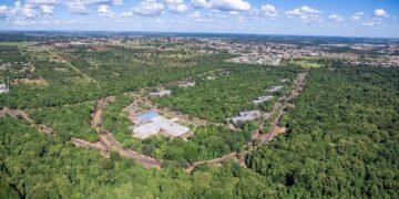 A capital mais arborizada do Brasil tem 91% das ruas com árvores e o maior aquário de água doce do mundo