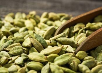 Essa especiaria antiga deixa a digestão leve e traz frescor à respiração
