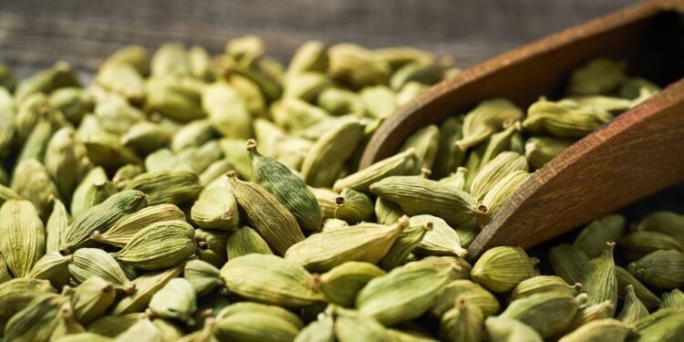 No dia a dia, o cardamomo costuma ser associado à sensação de alívio após refeições muito gordurosas ou pesadas. - Créditos: depositphotos.com / itor115.gmail.com