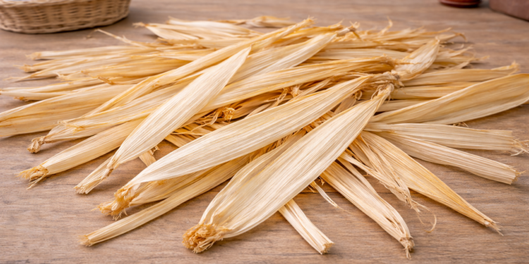 Palha de milho vira a melhor aliada sustentável