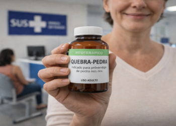 Do chá caseiro ao SUS o novo caminho da quebra-pedra