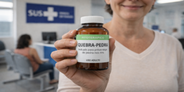 Do chá caseiro ao SUS o novo caminho da quebra-pedra