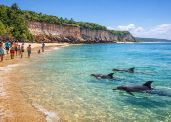 O que torna essa praia de Pipa tão especial