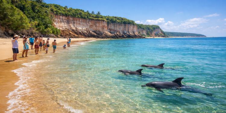 O que torna essa praia de Pipa tão especial