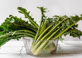Essa hortaliça auxilia digestão, fígado e saúde óssea com baixo valor calórico