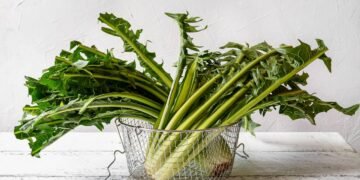 Essa hortaliça auxilia digestão, fígado e saúde óssea com baixo valor calórico