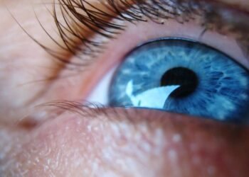 O que acontece com a córnea doada antes do transplante