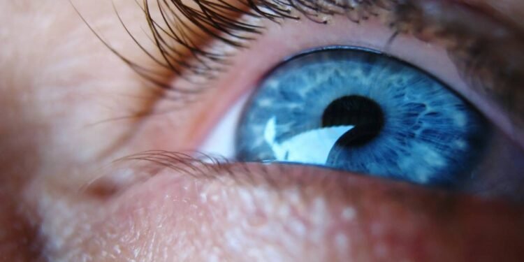 O que define a prioridade no transplante de córnea - Créditos: depositphotos.com / SlavicaPopovska