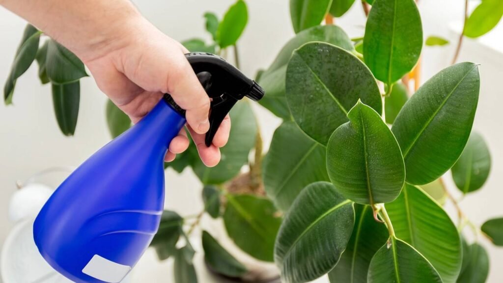 plantas difíceis de cuidar