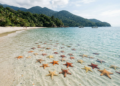 Enseada das Estrelas pode transformar sua viagem