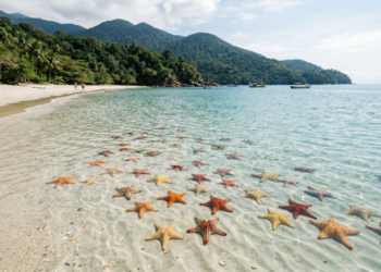 Enseada das Estrelas pode transformar sua viagem