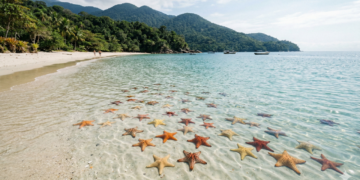 Enseada das Estrelas pode transformar sua viagem